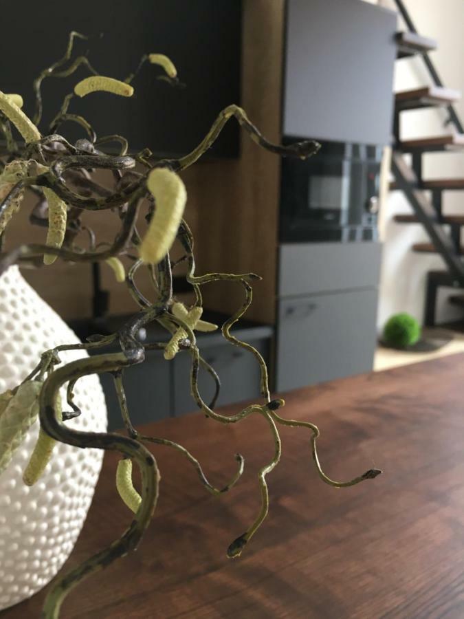 Goodmood Apartment Debrecen Eksteriør billede